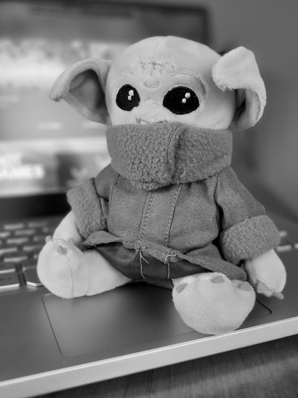 about-team-7-wm-optimz