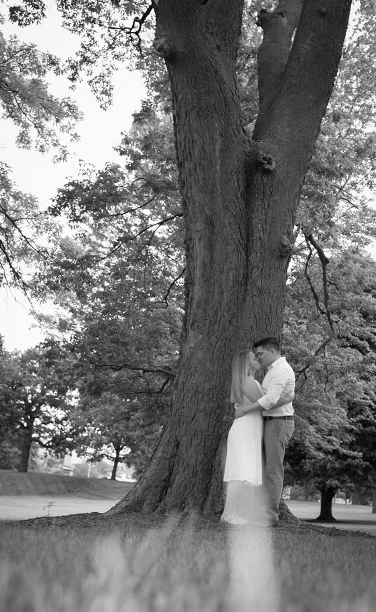 album, wedding-web-8 album, wedding, quinceañera, donmata llc,wilfrido matamoros